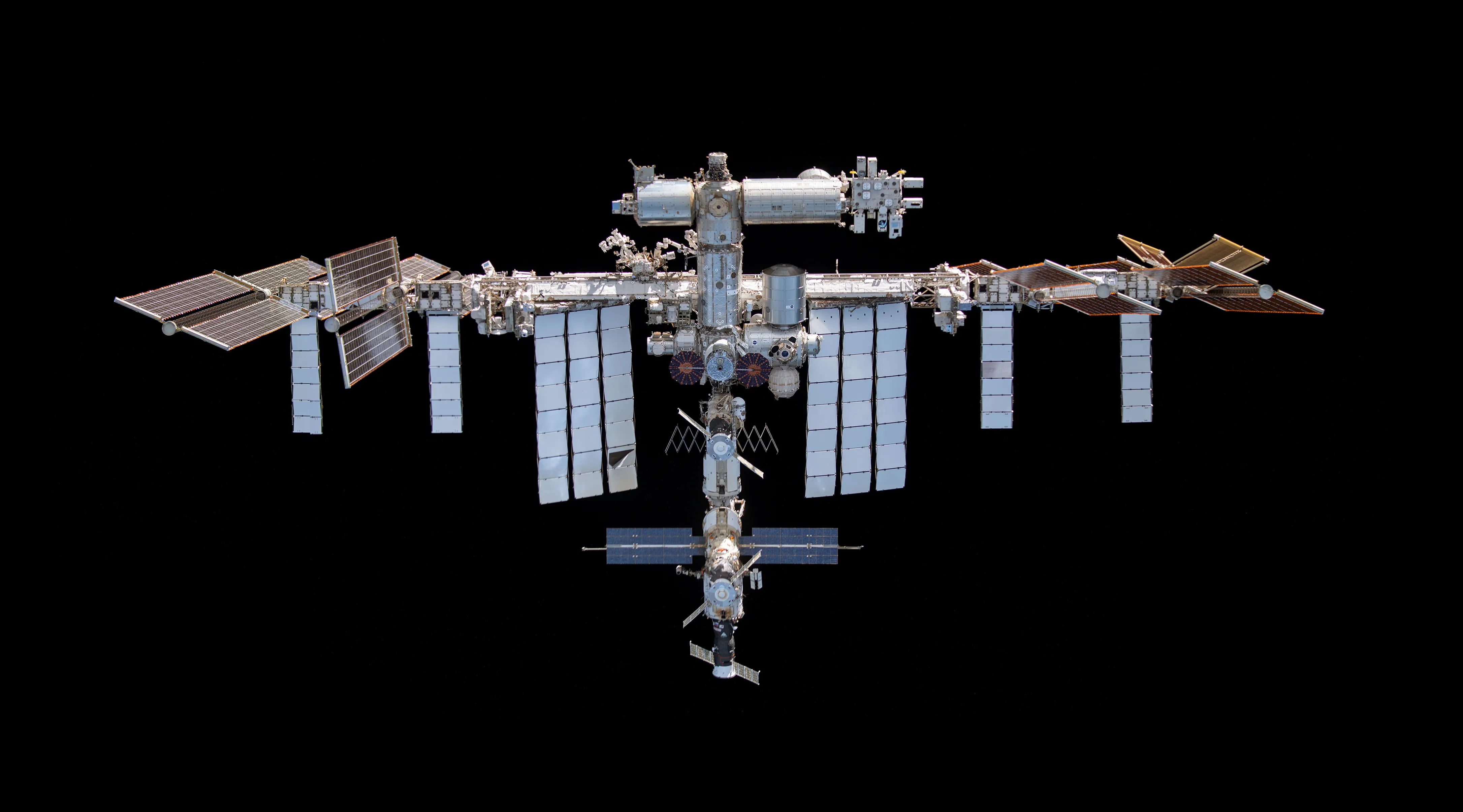 Human Brain and Heart Tissue Models Head to Space for Microgravity Research