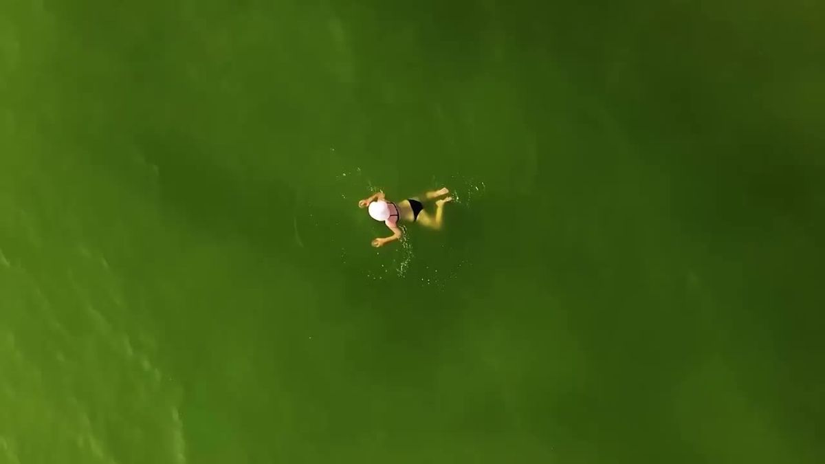 Plankton Bloom Turns Part of Thailand’s Sea Bright Green, Raising Coastal-Ecology Questions